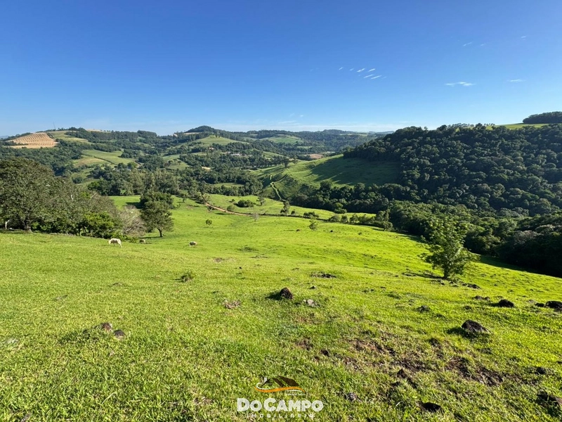 : 41ª foto da galeria de imagens do imóvel