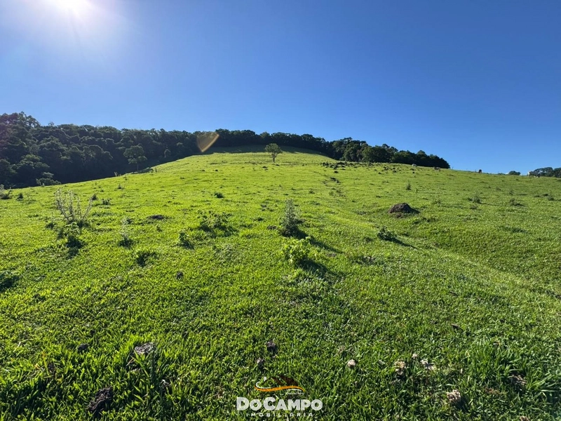 : 59ª foto da galeria de imagens do imóvel