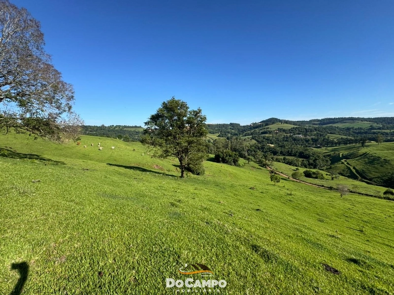 : 42ª foto da galeria de imagens do imóvel