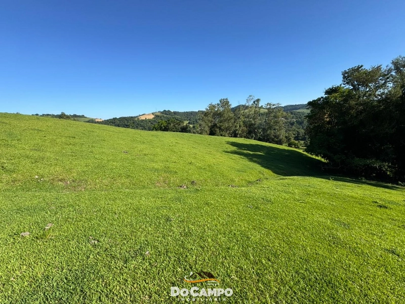 : 49ª foto da galeria de imagens do imóvel