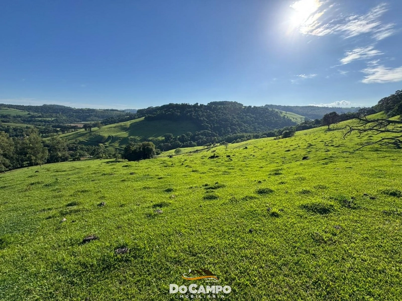 : 29ª foto da galeria de imagens do imóvel