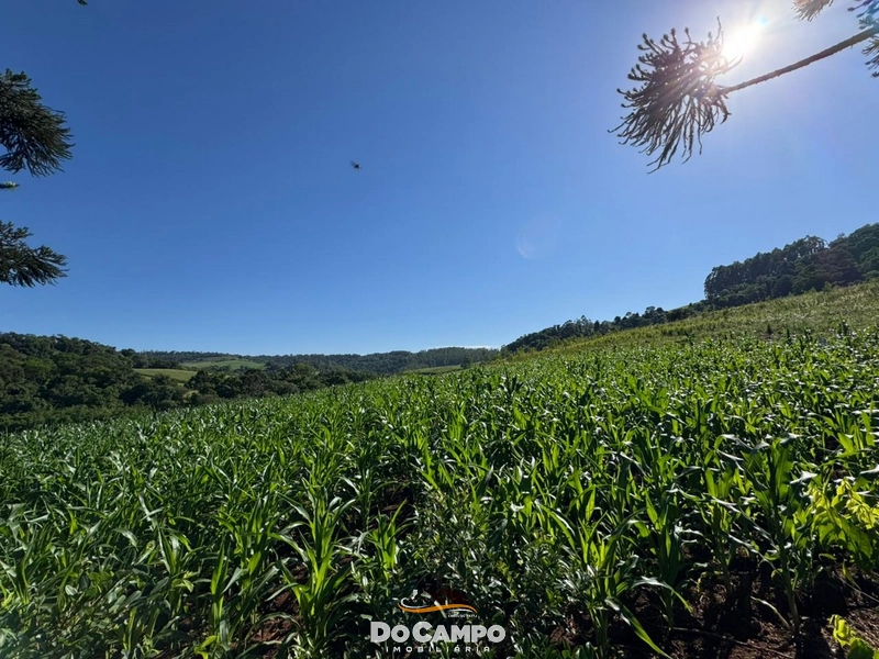 : 60ª foto da galeria de imagens do imóvel