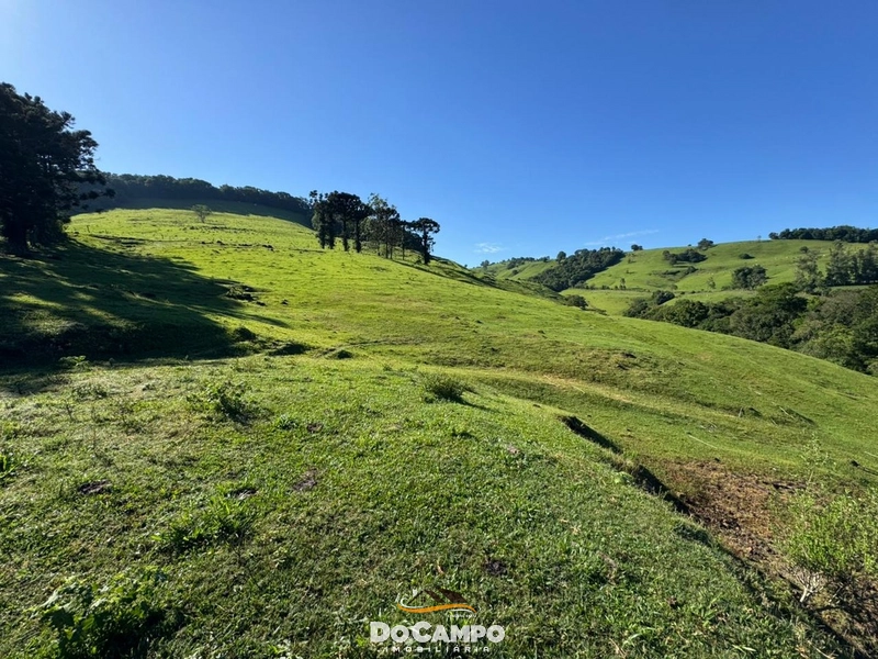 : 53ª foto da galeria de imagens do imóvel