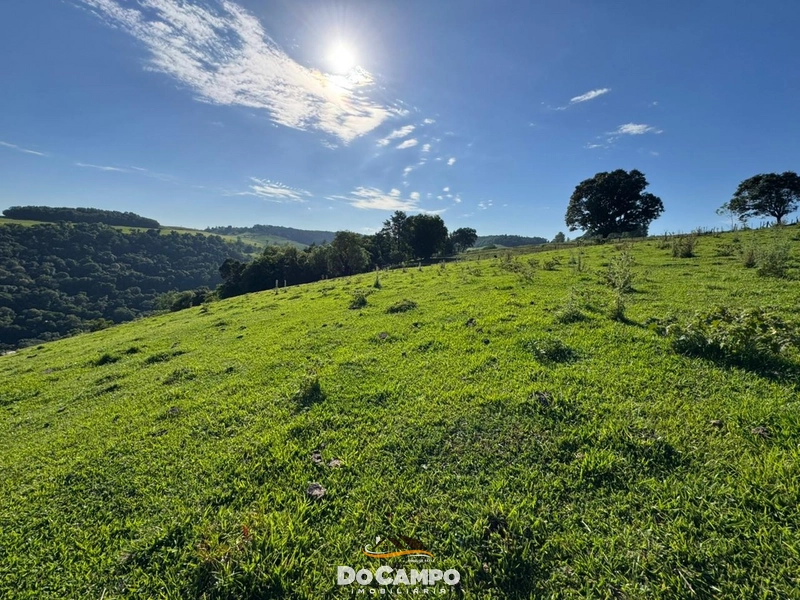 : 38ª foto da galeria de imagens do imóvel