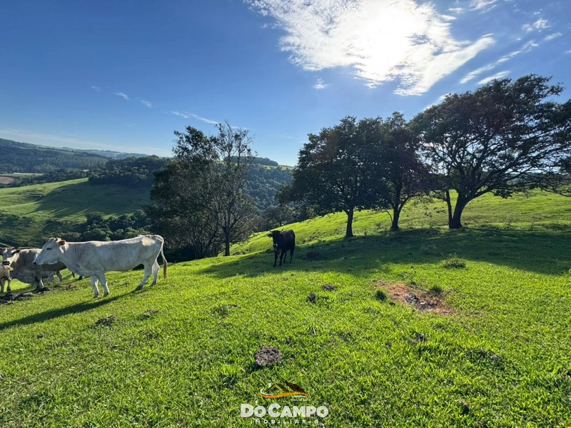 : 39ª foto da galeria de imagens do imóvel