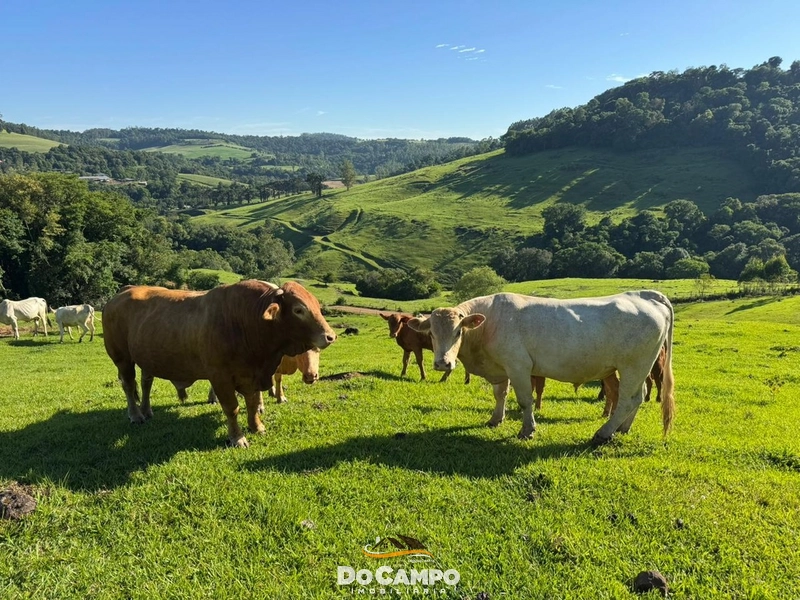 : 51ª foto da galeria de imagens do imóvel