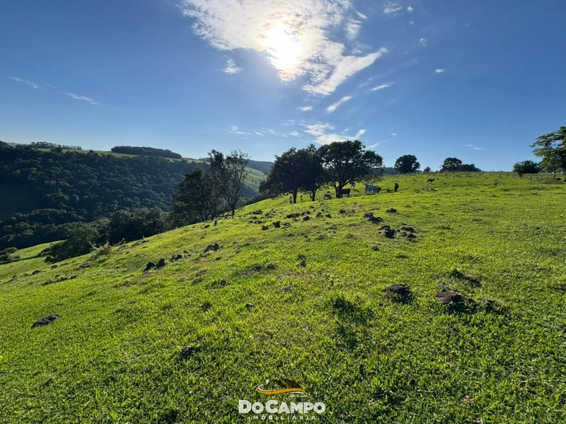 : 37ª foto da galeria de imagens do imóvel