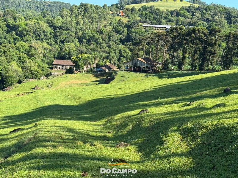 : 44ª foto da galeria de imagens do imóvel