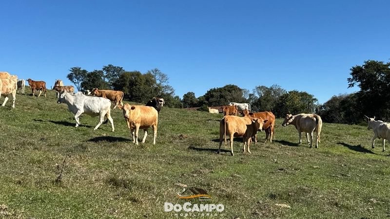 : 28ª foto da galeria de imagens do imóvel
