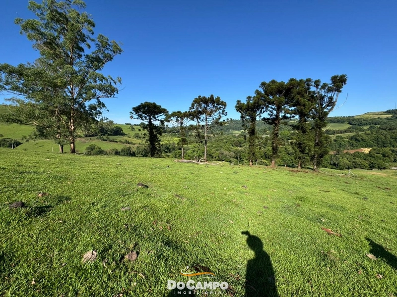 : 61ª foto da galeria de imagens do imóvel