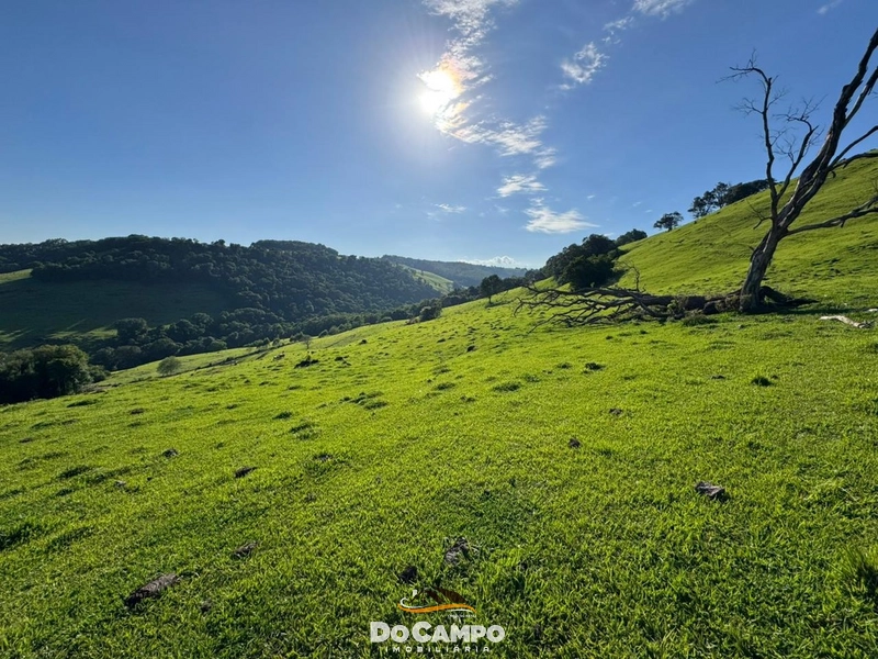 : 28ª foto da galeria de imagens do imóvel