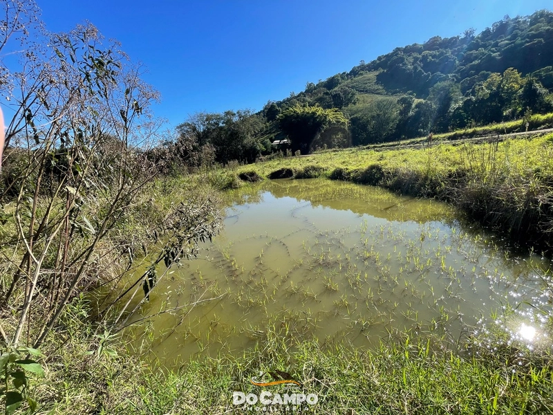 : 10ª foto da galeria de imagens do imóvel