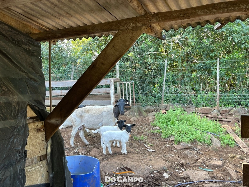 : 31ª foto da galeria de imagens do imóvel