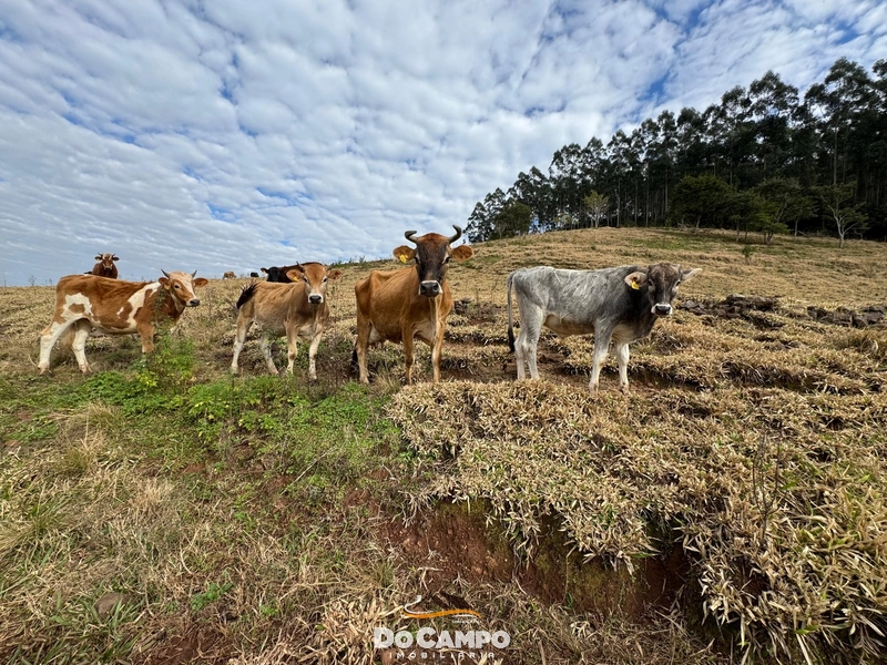 : 24ª foto da galeria de imagens do imóvel