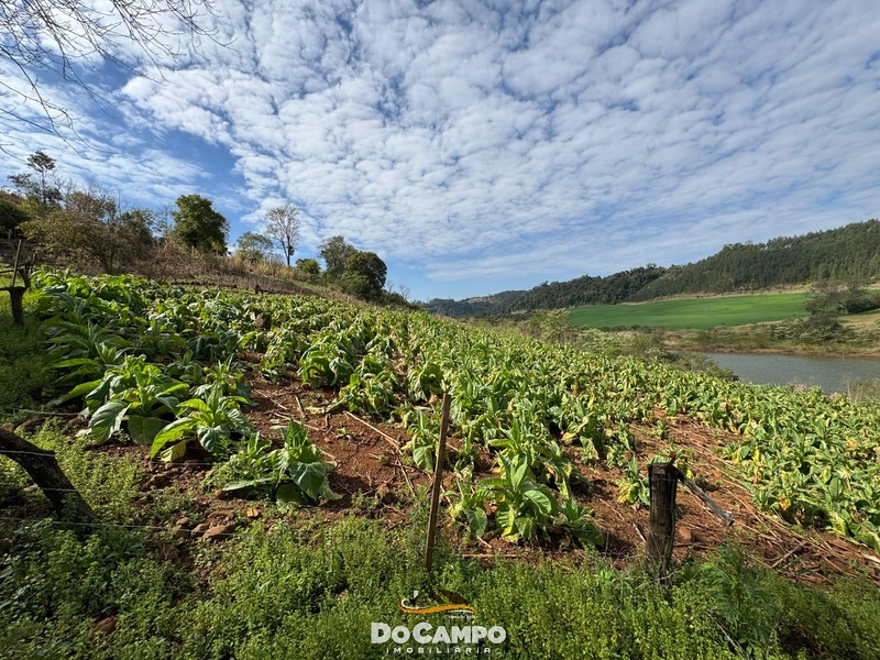 : 17ª foto da galeria de imagens do imóvel