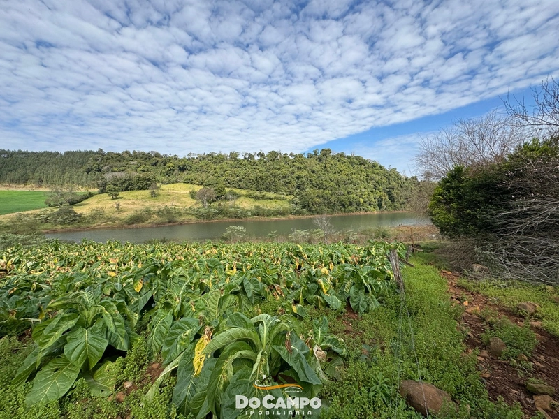 : 11ª foto da galeria de imagens do imóvel