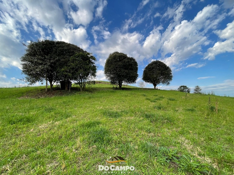 : 50ª foto da galeria de imagens do imóvel