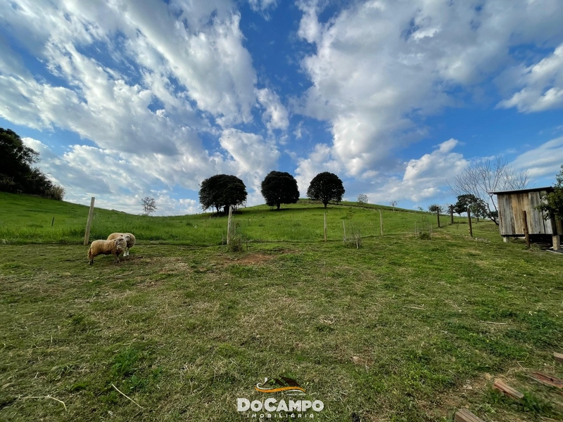 : 36ª foto da galeria de imagens do imóvel