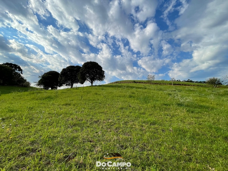 : 44ª foto da galeria de imagens do imóvel