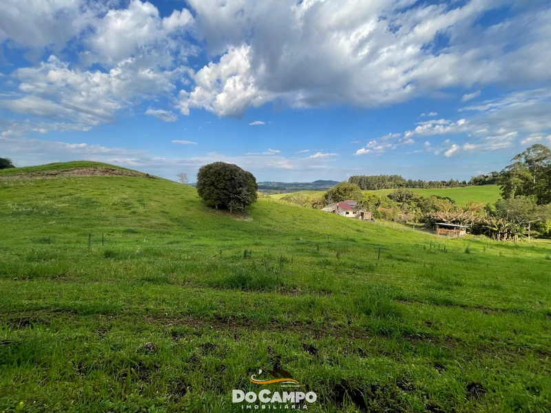 : 47ª foto da galeria de imagens do imóvel