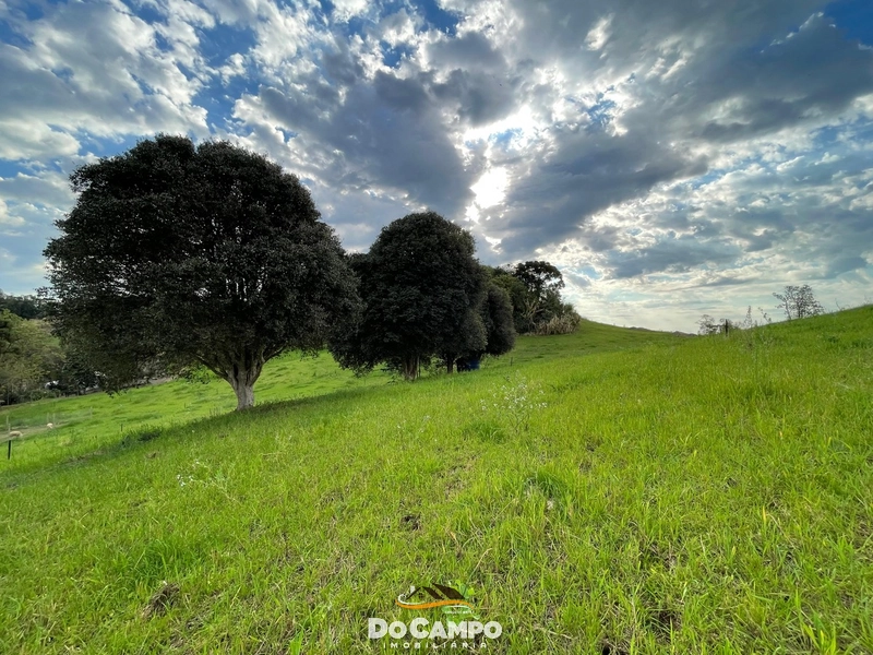 : 58ª foto da galeria de imagens do imóvel