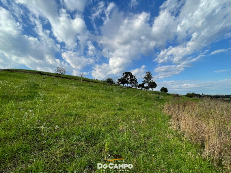 : 43ª foto da galeria de imagens do imóvel