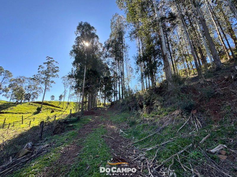 : 22ª foto da galeria de imagens do imóvel