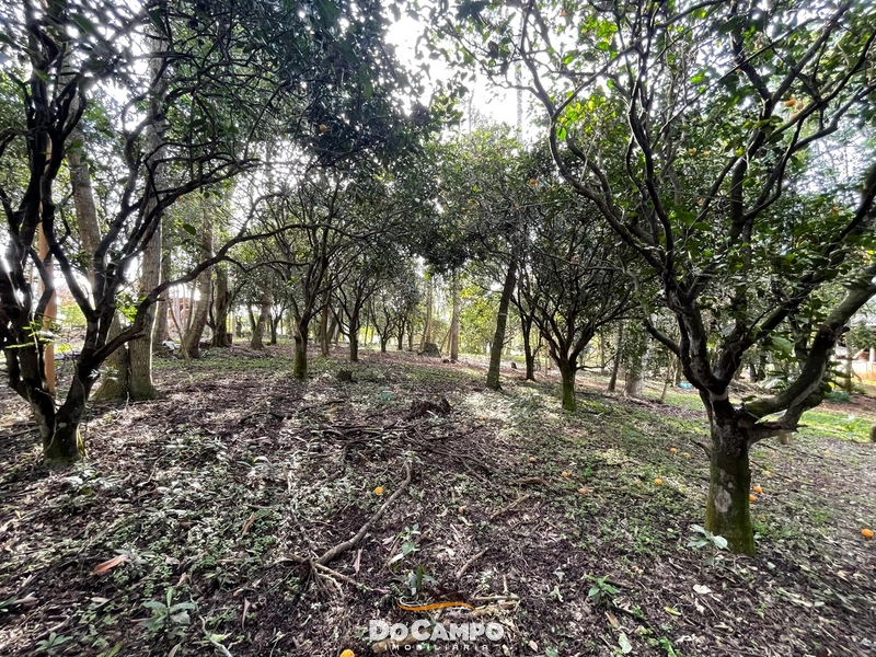 : 40ª foto da galeria de imagens do imóvel