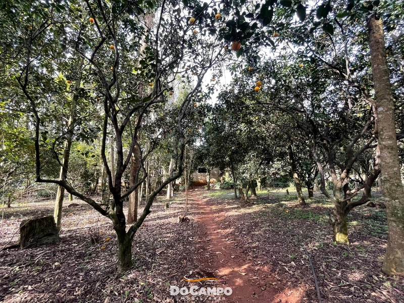 : 43ª foto da galeria de imagens do imóvel