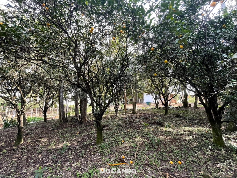 : 41ª foto da galeria de imagens do imóvel