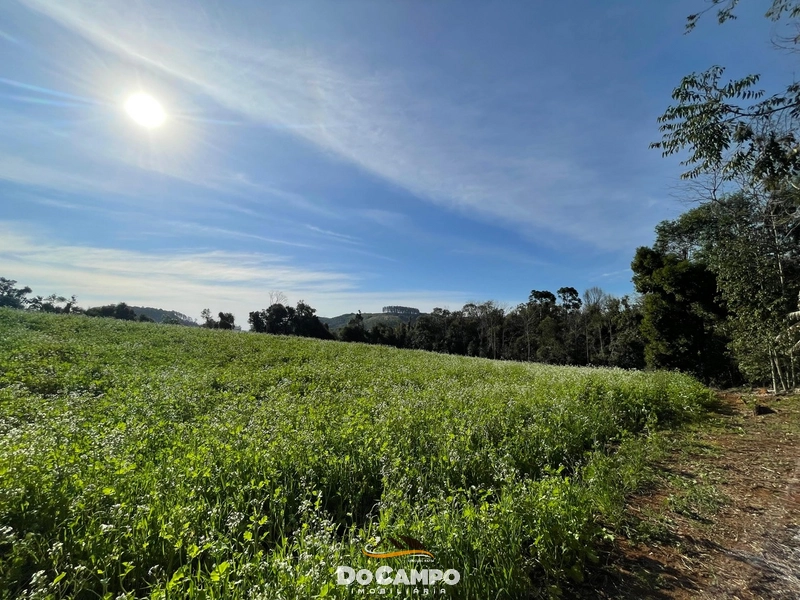 : 49ª foto da galeria de imagens do imóvel