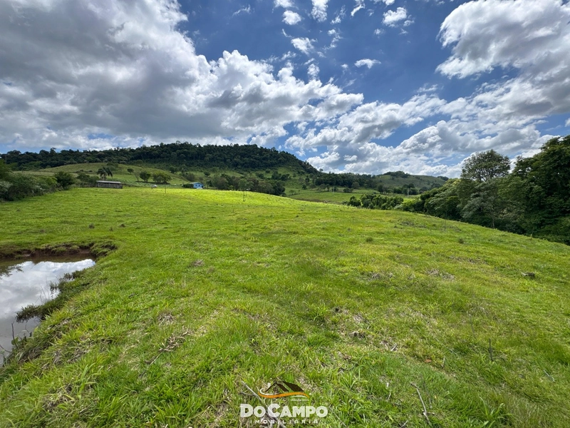 : 22ª foto da galeria de imagens do imóvel