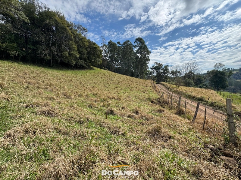 : 26ª foto da galeria de imagens do imóvel