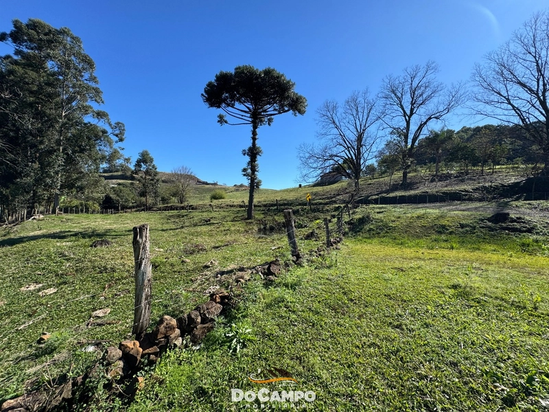: 15ª foto da galeria de imagens do imóvel