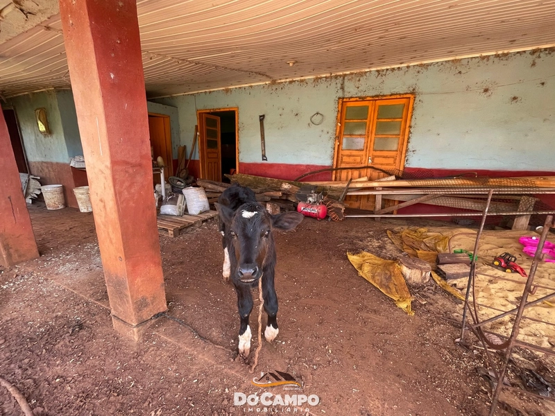 : 15ª foto da galeria de imagens do imóvel