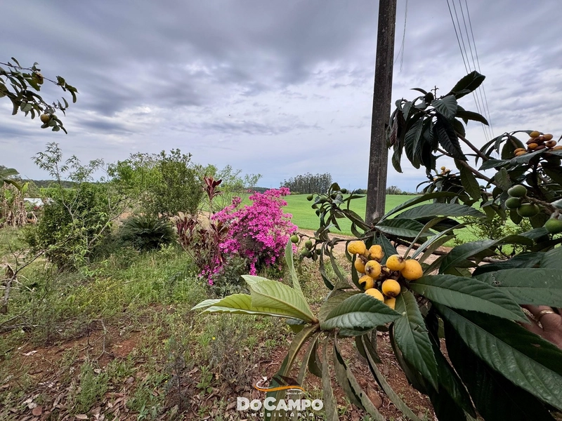 Chácara á Venda: 6ª foto da galeria de imagens do imóvel