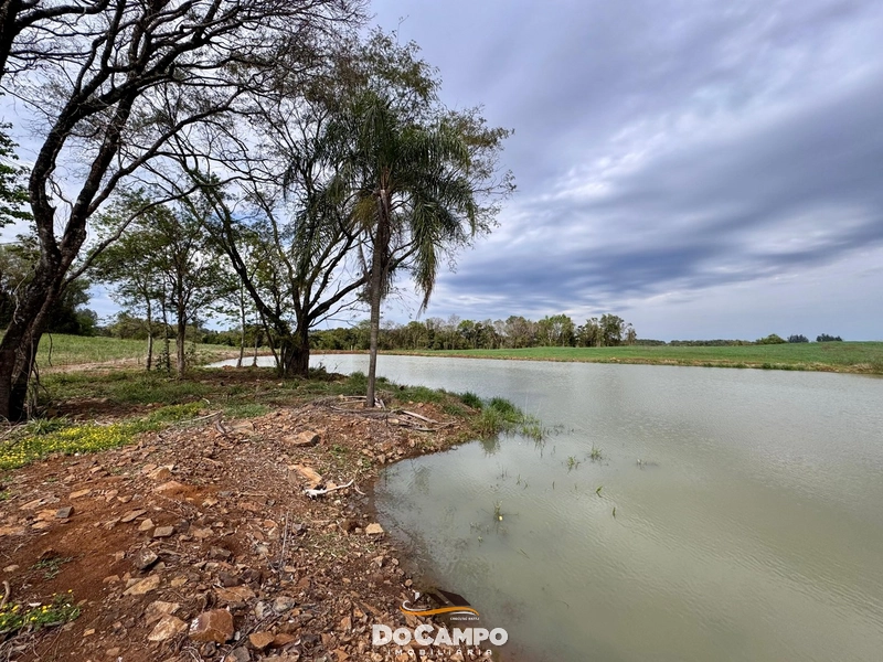 Chácara á Venda: 12ª foto da galeria de imagens do imóvel