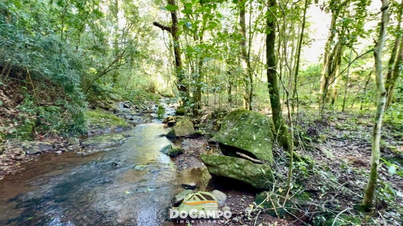 Sítio à Venda em Saltinho – Oeste de Santa Catarina: 14ª foto da galeria de imagens do imóvel