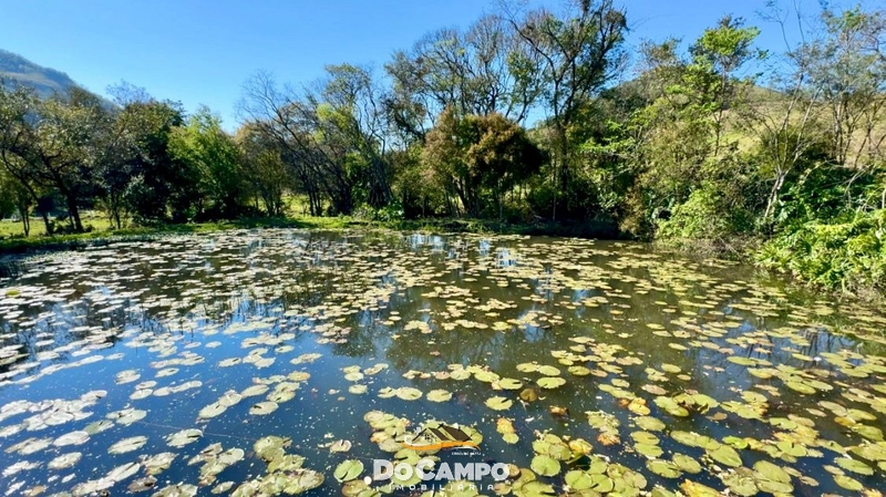 Sítio à Venda em Saltinho – Oeste de Santa Catarina: 15ª foto da galeria de imagens do imóvel
