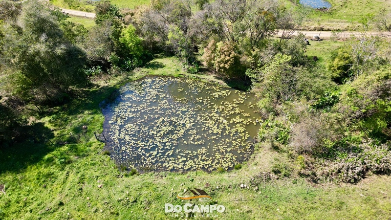 Sítio à Venda em Saltinho – Oeste de Santa Catarina: 10ª foto da galeria de imagens do imóvel