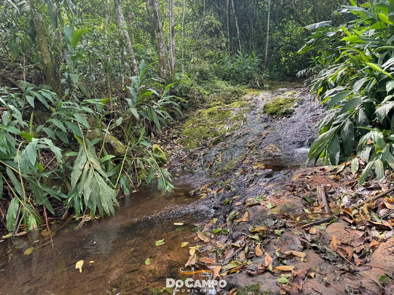 Chácara à venda em São Miguel da Boa Vista – SC: 9ª foto da galeria de imagens do imóvel