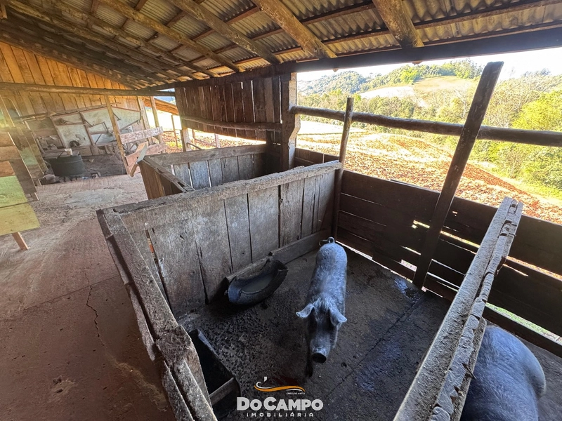 : 45ª foto da galeria de imagens do imóvel