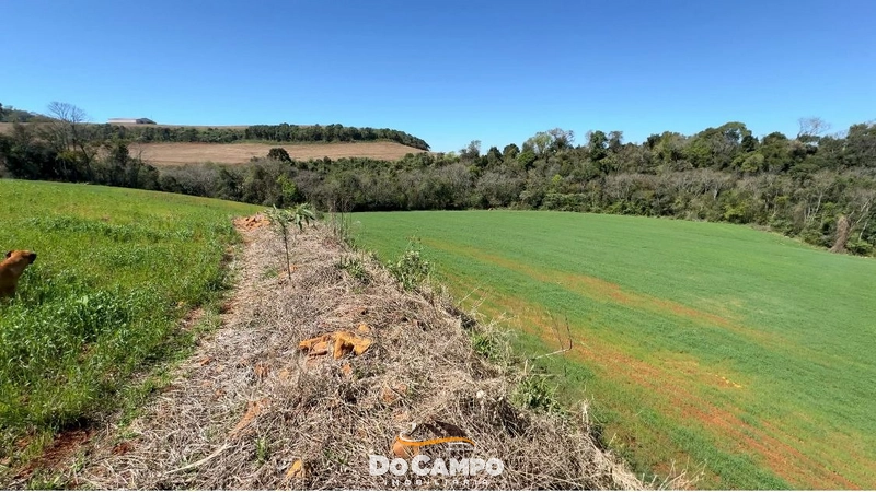 : 2ª foto da galeria de imagens do imóvel