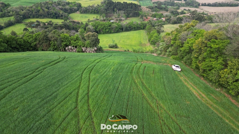 : 10ª foto da galeria de imagens do imóvel
