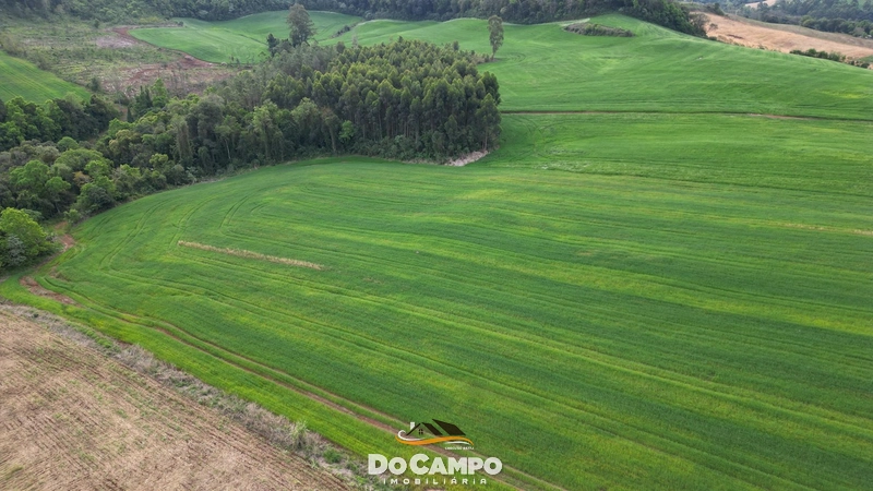 : 5ª foto da galeria de imagens do imóvel