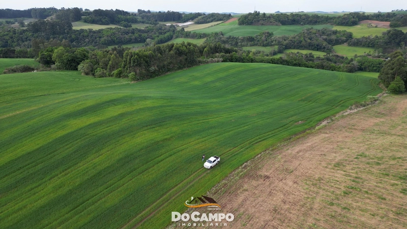 : 12ª foto da galeria de imagens do imóvel