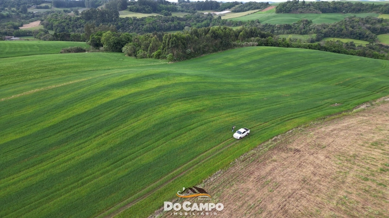 : 4ª foto da galeria de imagens do imóvel