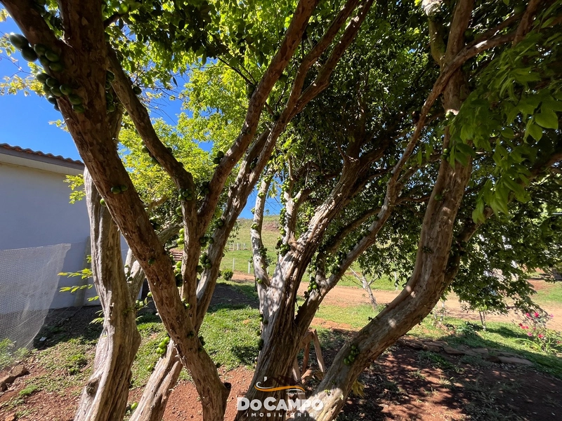 : 39ª foto da galeria de imagens do imóvel