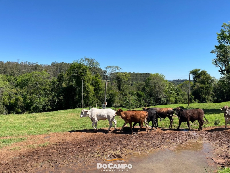 : 78ª foto da galeria de imagens do imóvel