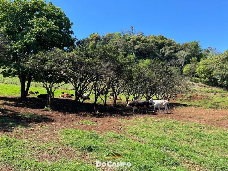 : 79ª foto da galeria de imagens do imóvel